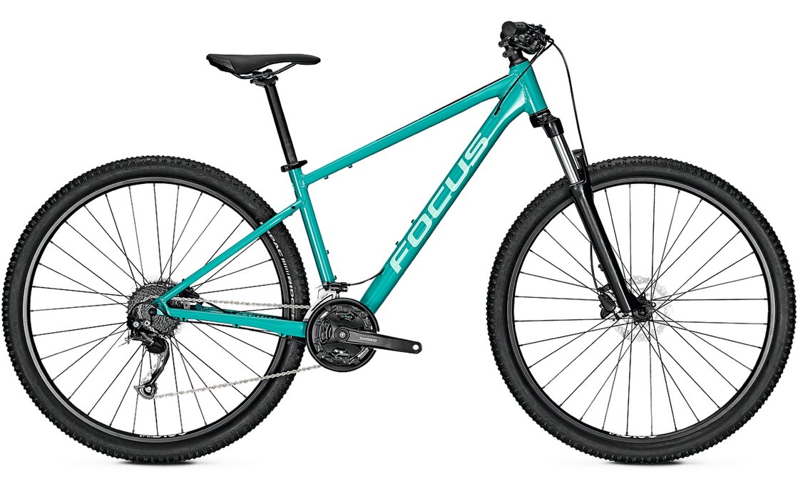 Focus Whistler 3.6 – 29 Zoll – Diamant – 2025