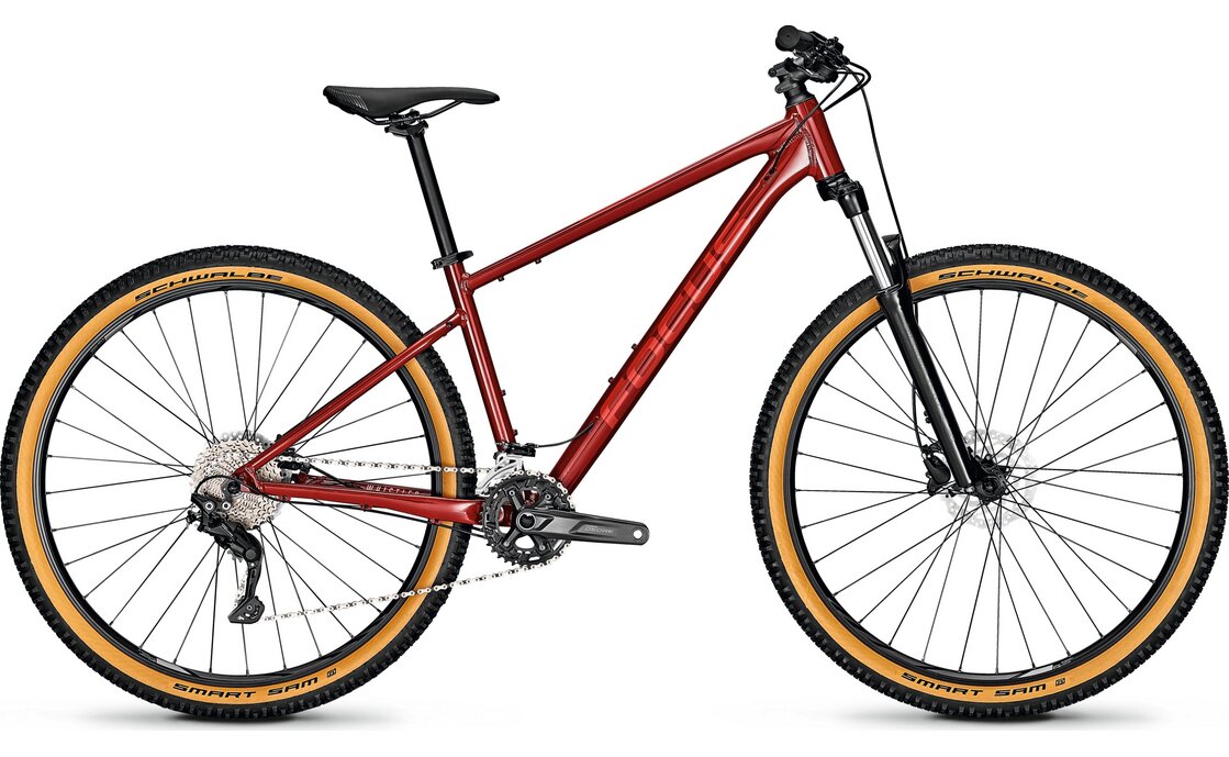 Focus Whistler 3.7 – 29 Zoll – Diamant – 2025