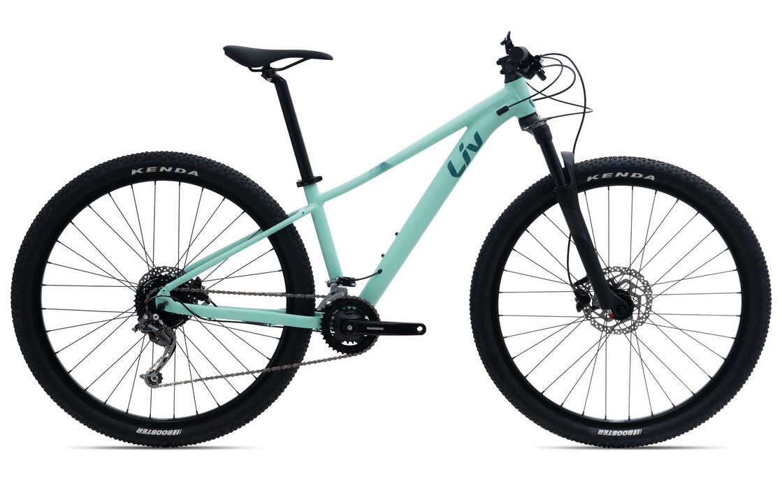 Liv Tempt 2 – 29 Zoll – Diamant – 2024